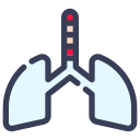 Lungs icon