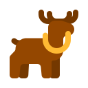 animal icon