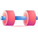 pesa icon