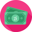 Zloty icon