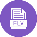 flv icon