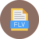 flv icon