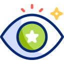 ojo icon