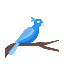 pájaro icon