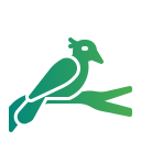 pájaro icon