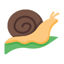 caracol icon