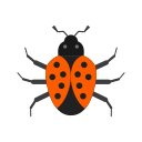 insecte 