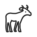 animal icon