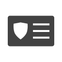 seguridad icon