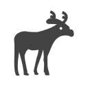 animal icon