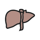 anatomía icon