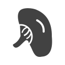 Human 