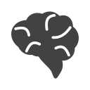 Human 