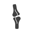 Human 