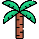 palmera