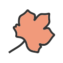 naranja icon