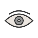 ojo icon