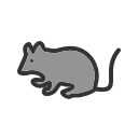 ratón icon