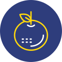 mandarina icon