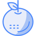 mandarina icon