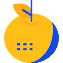 mandarina icon