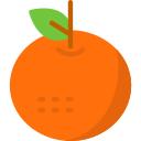 mandarina icon