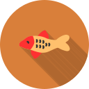 pez koi icon