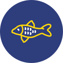 pez koi icon