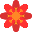 flor de loto icon