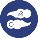 propicio icon