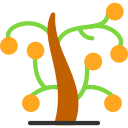 árbol de los deseos icon