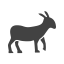 animal icon