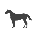 caballo icon