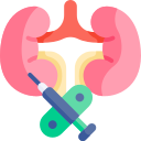 biopsia de riñón icon