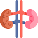 insuficiencia renal icon