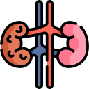 insuficiencia renal icon