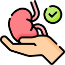 Kidney donor icon