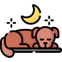 sueño del perro icon