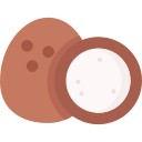 Coconut icon