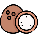 coco icon