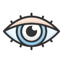 ojo icon