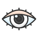 ojos icon