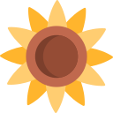 girasol icon