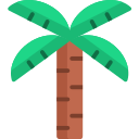 palmera icon