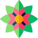 rangoli icon