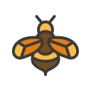 abeja icon