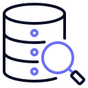 datos icon