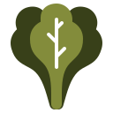 Fruit icon
