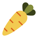 Fruit icon