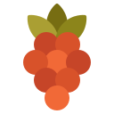 fruta icon